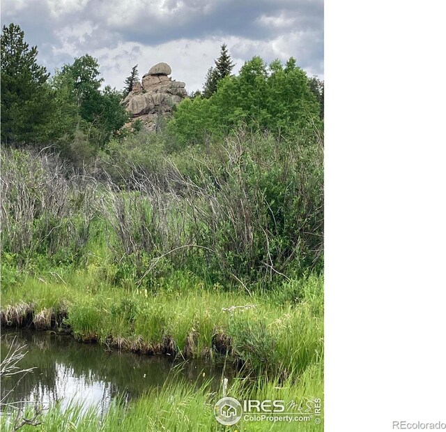 411 Tesuque Trl, Red Feather Lakes, CO 80545 - photo 22