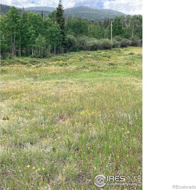 411 Tesuque Trl, Red Feather Lakes, CO 80545 - photo 24