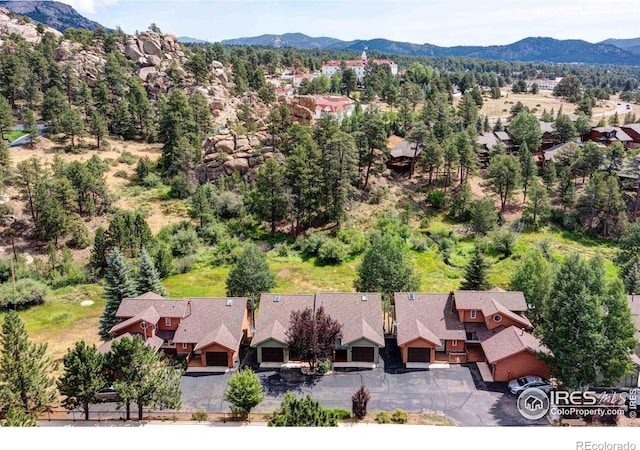 490 Macgregor Ave, Estes Park, CO 80517 - photo 13