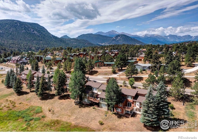 490 Macgregor Ave, Estes Park, CO 80517 - photo 20