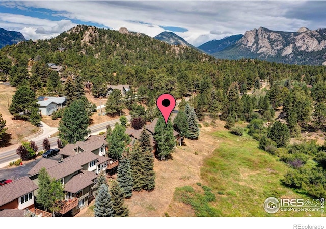 490 Macgregor Ave, Estes Park, CO 80517 - photo 22
