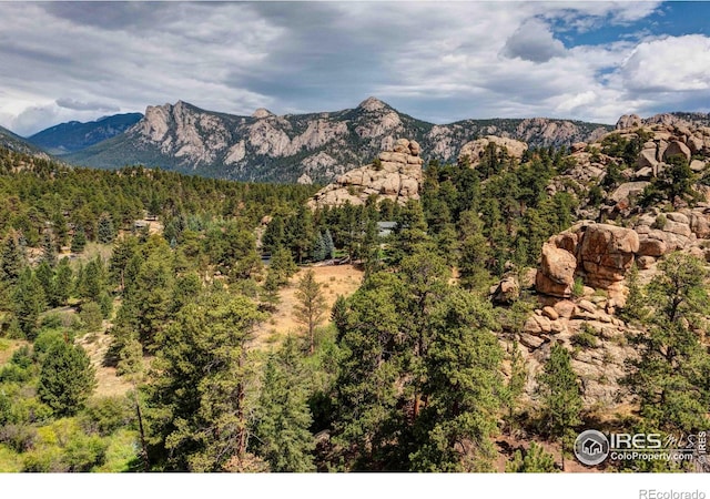 490 Macgregor Ave, Estes Park, CO 80517 - photo 14