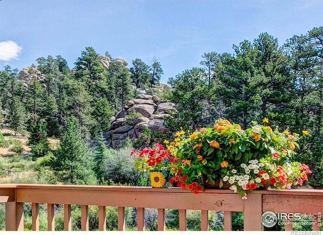 490 Macgregor Ave, Estes Park, CO 80517 - photo 16