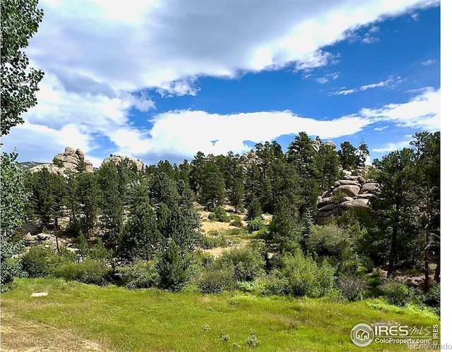 490 Macgregor Ave, Estes Park, CO 80517 - photo 28