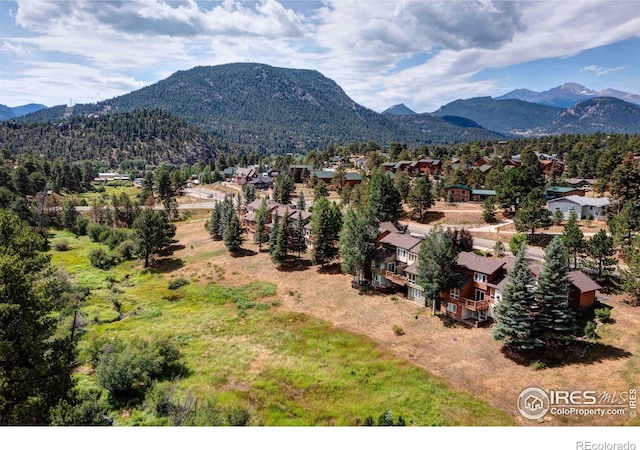 490 Macgregor Ave, Estes Park, CO 80517 - photo 18