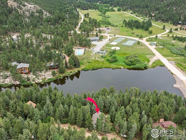 745 Hickory Dr, Lyons, CO 80540 - photo 3