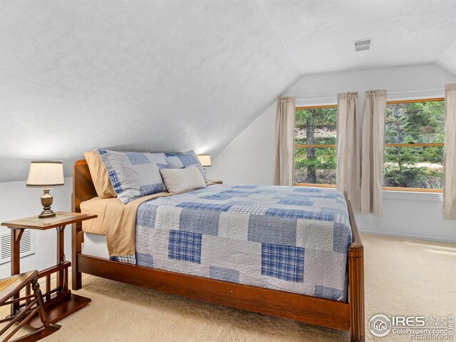 745 Hickory Dr, Lyons, CO 80540 - photo 14