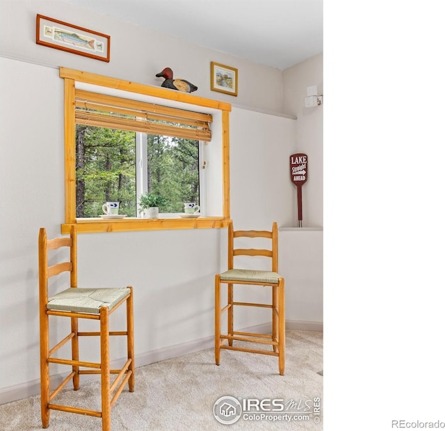 745 Hickory Dr, Lyons, CO 80540 - photo 19