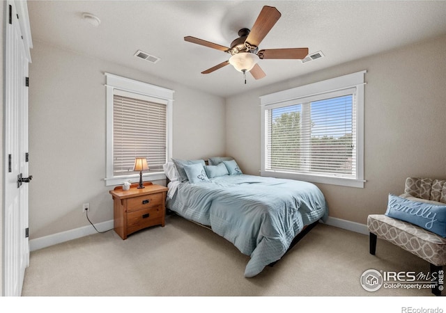 2005 Calico Ct, Longmont, CO 80503 - photo 18