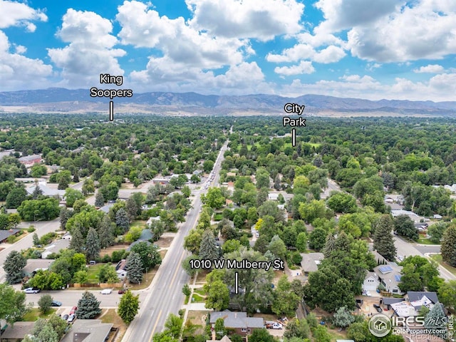 1010 W Mulberry St, Fort Collins, CO 80521 - photo 37