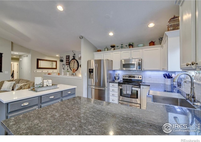 2513 Haven Ct, Evans, CO 80620 - photo 9