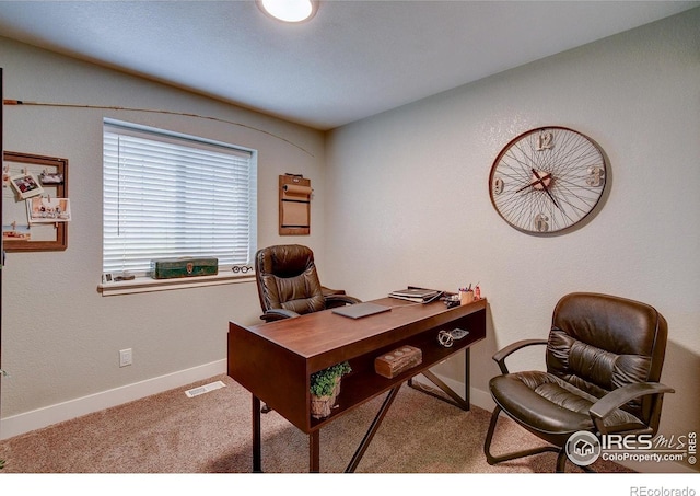 2513 Haven Ct, Evans, CO 80620 - photo 19