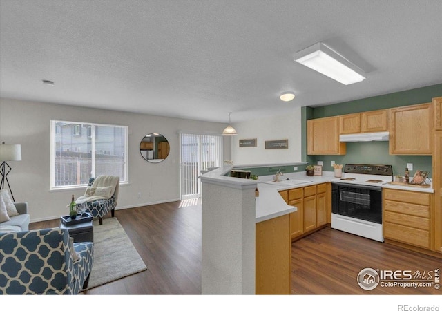 1982 E 103rd Ave, Thornton, CO 80229 - photo 10