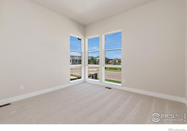 1719 Branching Canopy Dr, Windsor, CO 80550 - photo 12