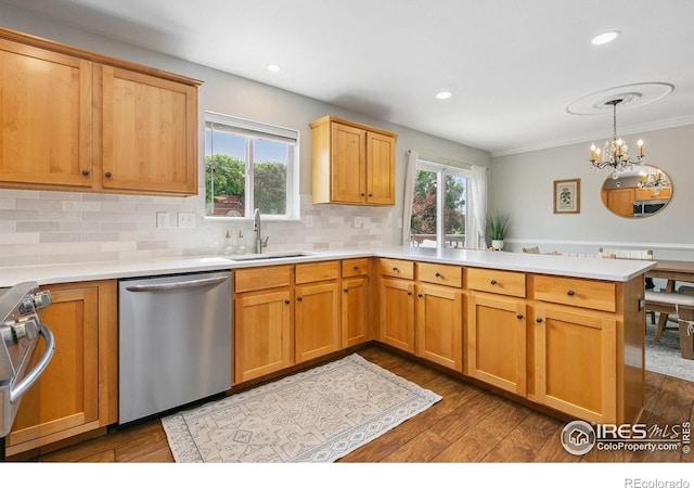 438 Beartooth Ct, Windsor, CO 80550 - photo 8
