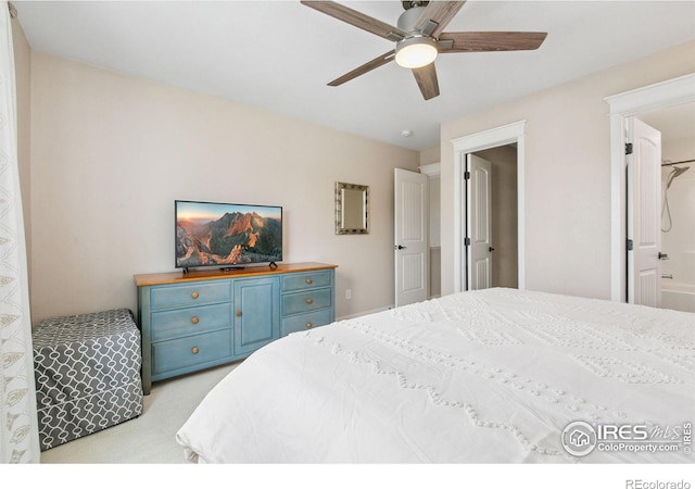 438 Beartooth Ct, Windsor, CO 80550 - photo 16