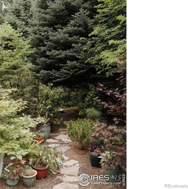 530 Smith St, Fort Collins, CO 80524 - photo 30
