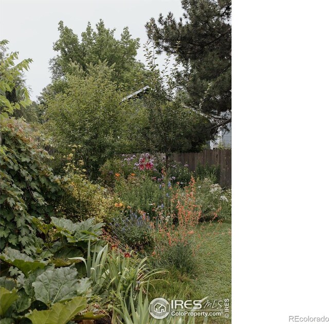 530 Smith St, Fort Collins, CO 80524 - photo 31