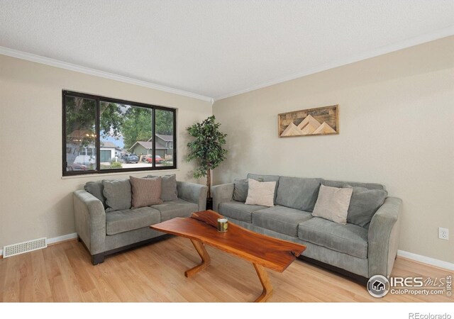 1609 39th St, Evans, CO 80620 - photo 4
