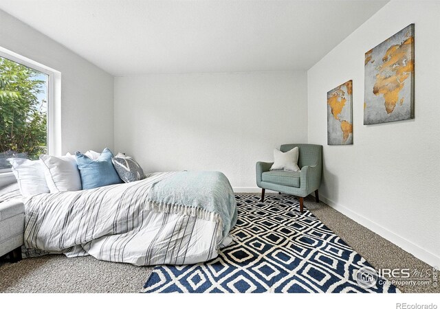 125 E 15th St, Loveland, CO 80538 - photo 20