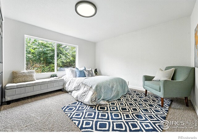 125 E 15th St, Loveland, CO 80538 - photo 22