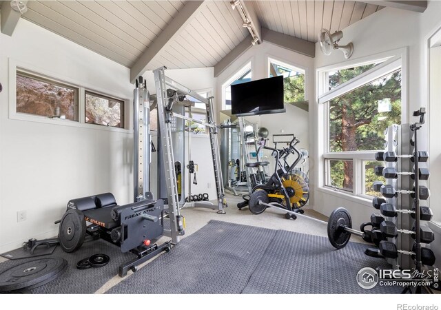 1145 Timber Ln, Boulder, CO 80304 - photo 30