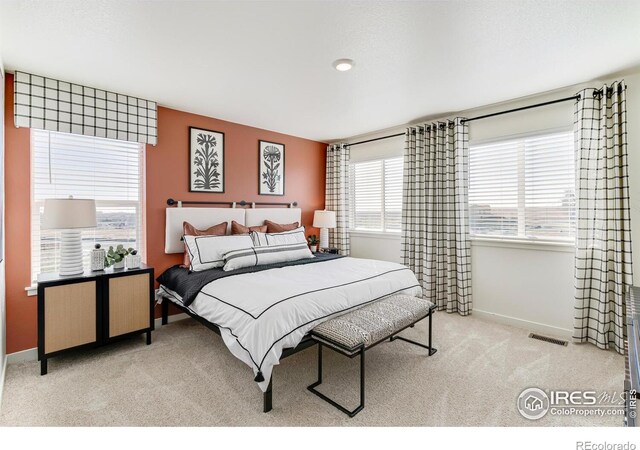 4709 Combine Ln, Johnstown, CO 80534 - photo 19