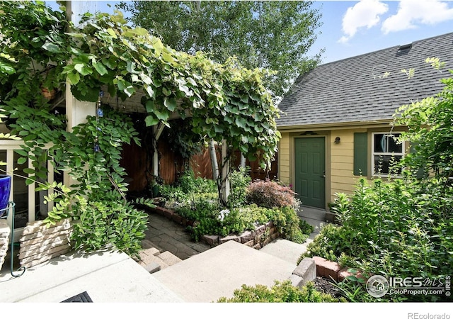 1278 Hummingbird Cir Unit C, Longmont, CO 80501 - photo 27