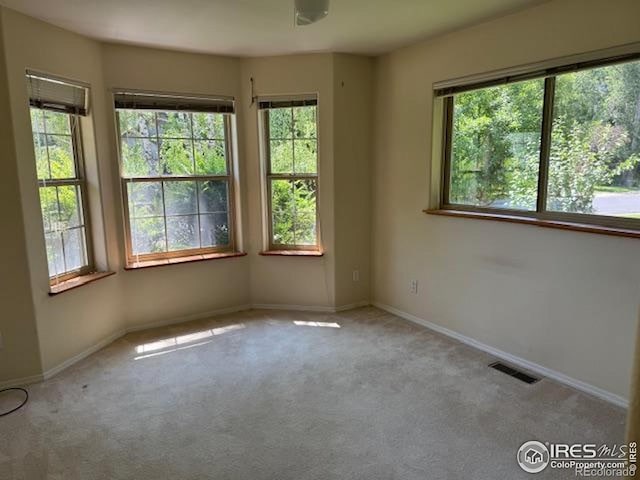 47 Long Hollow Ln, Durango, CO 81301 - photo 9