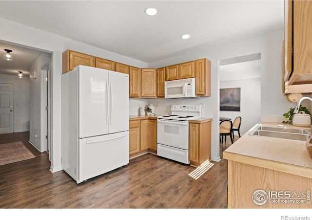 7148 Mount Nimbus St, Wellington, CO 80549 - photo 9