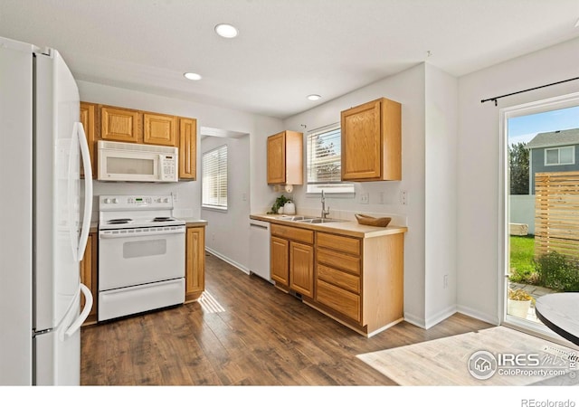 7148 Mount Nimbus St, Wellington, CO 80549 - photo 10