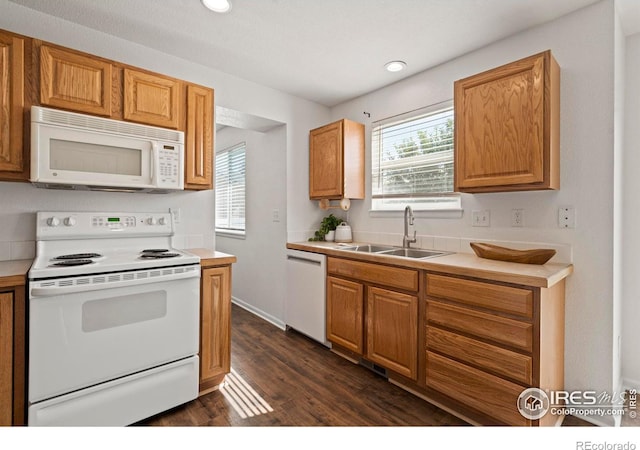 7148 Mount Nimbus St, Wellington, CO 80549 - photo 11