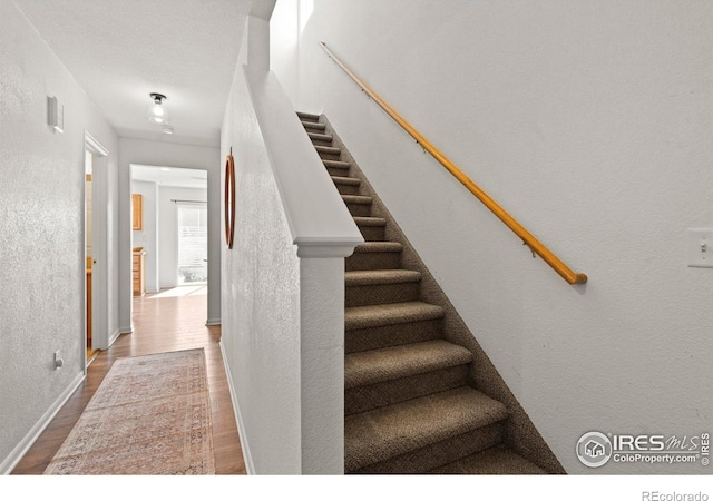 7148 Mount Nimbus St, Wellington, CO 80549 - photo 15