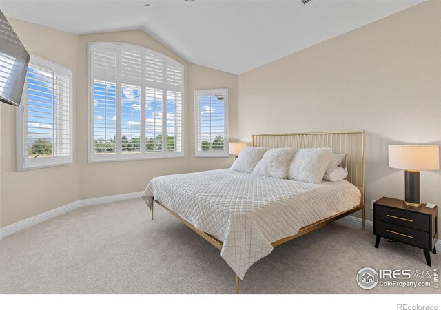6557 Legend Ridge Trl, Niwot, CO 80503 - photo 24