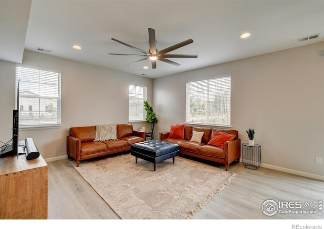 1723 Branching Canopy Dr, Windsor, CO 80550 - photo 5
