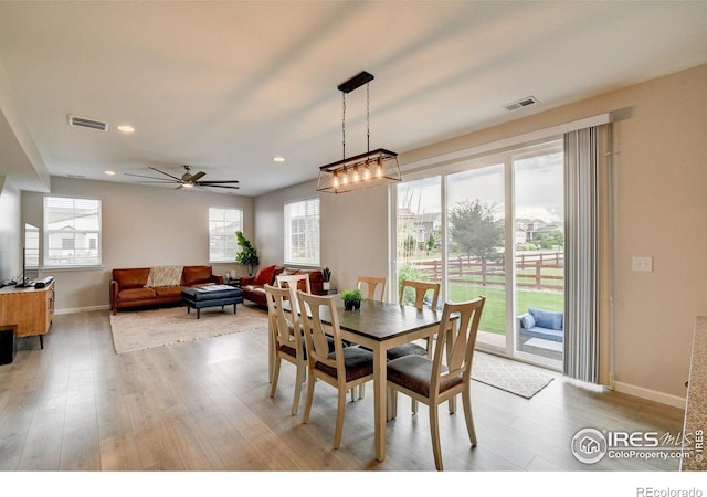 1723 Branching Canopy Dr, Windsor, CO 80550 - photo 12