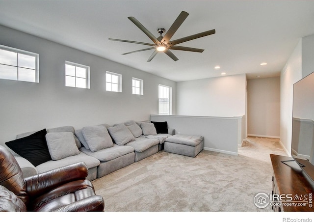 1723 Branching Canopy Dr, Windsor, CO 80550 - photo 18