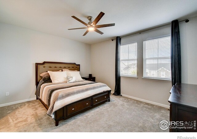 1723 Branching Canopy Dr, Windsor, CO 80550 - photo 19