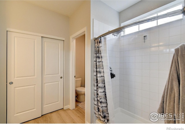 1723 Branching Canopy Dr, Windsor, CO 80550 - photo 23