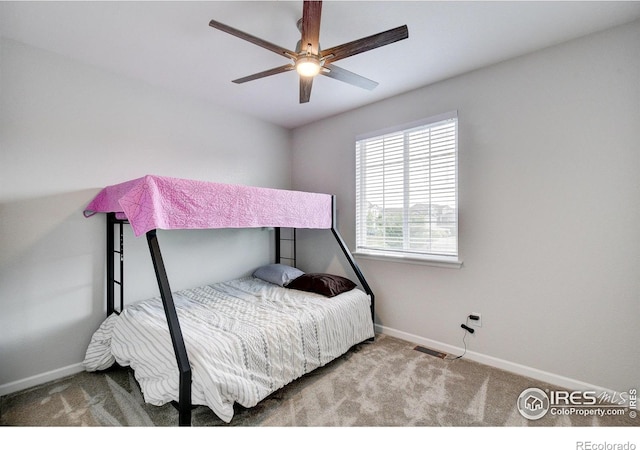 1723 Branching Canopy Dr, Windsor, CO 80550 - photo 26