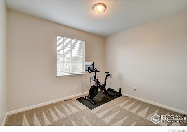 1723 Branching Canopy Dr, Windsor, CO 80550 - photo 27
