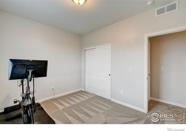 1723 Branching Canopy Dr, Windsor, CO 80550 - photo 28