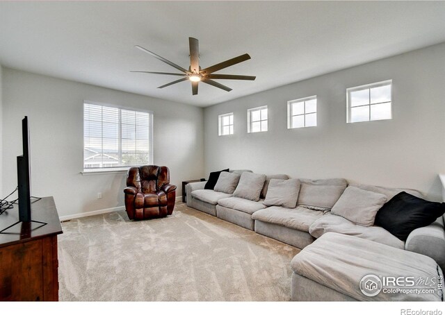 1723 Branching Canopy Dr, Windsor, CO 80550 - photo 17
