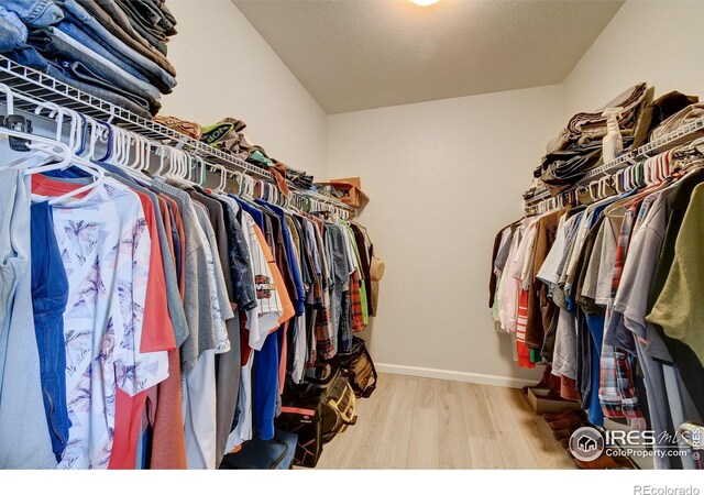 1723 Branching Canopy Dr, Windsor, CO 80550 - photo 24