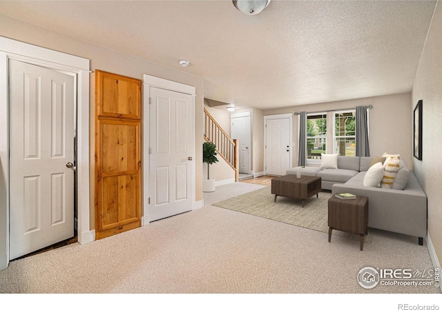638 Ebon Pica St, Fort Collins, CO 80521 - photo 5