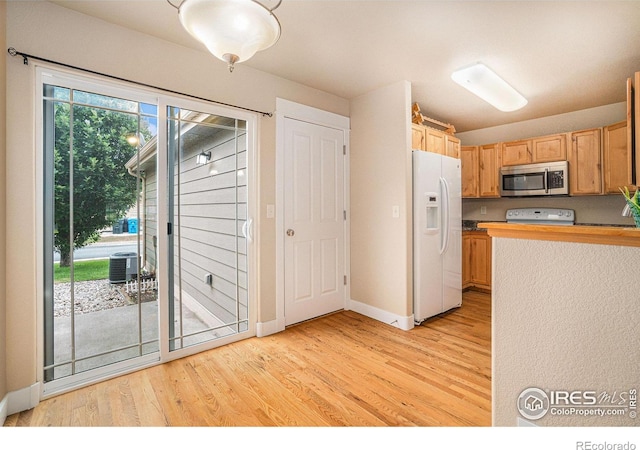 638 Ebon Pica St, Fort Collins, CO 80521 - photo 9