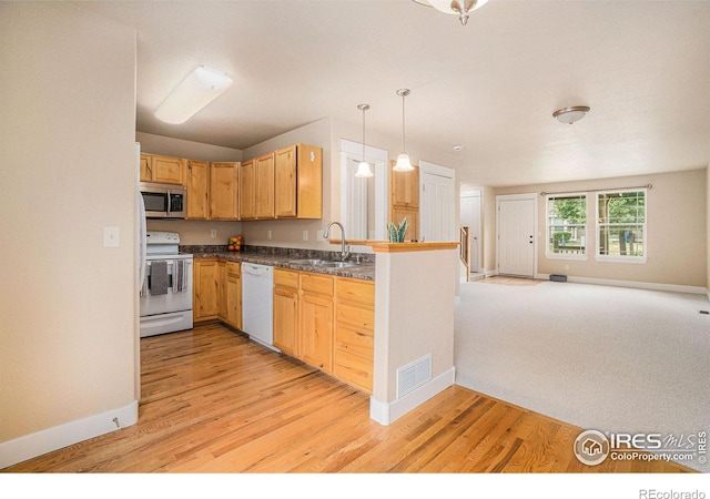 638 Ebon Pica St, Fort Collins, CO 80521 - photo 11