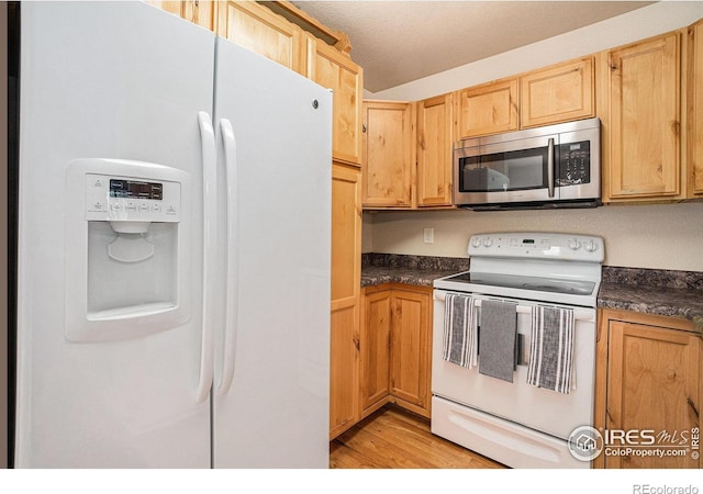 638 Ebon Pica St, Fort Collins, CO 80521 - photo 13