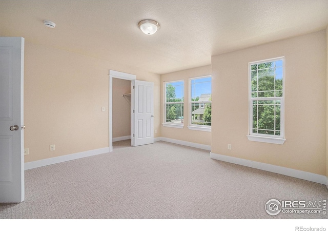638 Ebon Pica St, Fort Collins, CO 80521 - photo 17