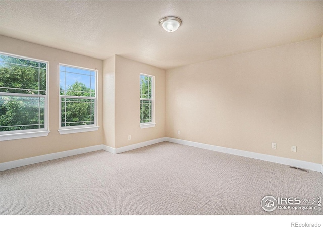 638 Ebon Pica St, Fort Collins, CO 80521 - photo 18
